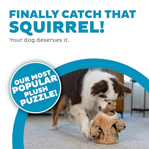 Outward Hound Pet Toy in Medium (Pack of 12), Squirrel Medium