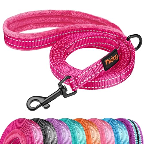 Didog Leash in 5/8''x 6 FT, Hot Pink