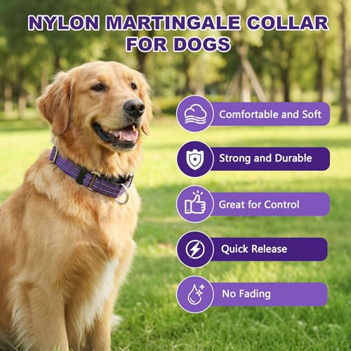 Hikiko Animal Collar in X-Small, Purple