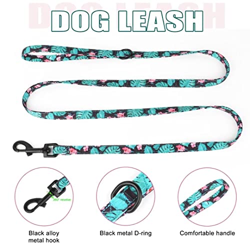 Beirui Animal Harness in XXS:Fit 2-6 lbs, Blue