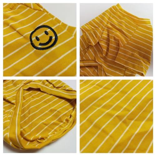 Wiz BBQT Pet Apparel in Pet 3XL - Chest 22.8", Yellow