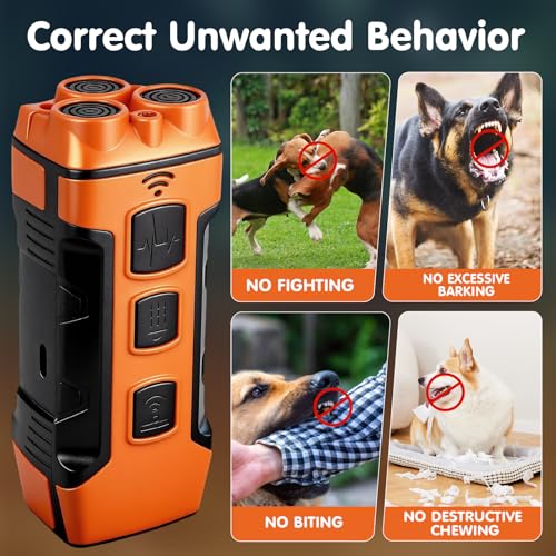 GleeGearNex Pet Supplies in orange
