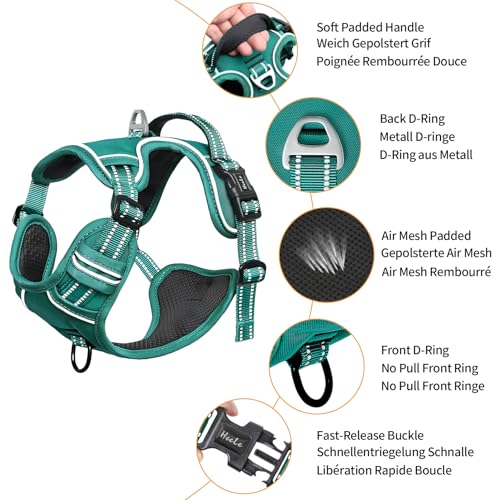 HEELE Animal Harness in S, Grass Green