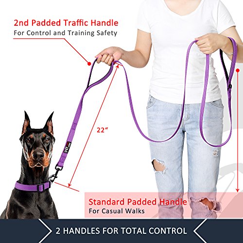 PLUTUS PET Leash in 4 FT, Purple