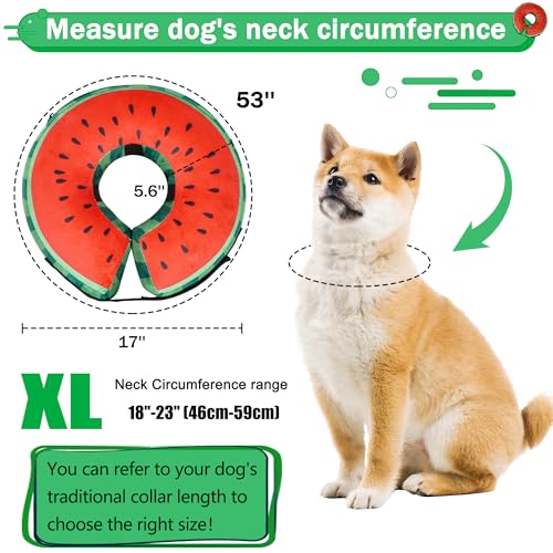 Cneo Animal Recovery Collar Cone in XL（neck 18"-23"）, Watermelon