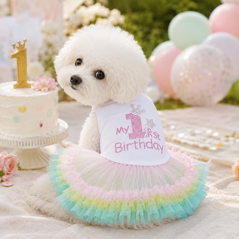 Petitebella Pet Apparel in X-Small, White/Rainbow