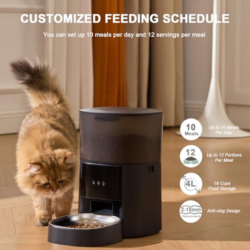 MZZ Pet Feeder in Black