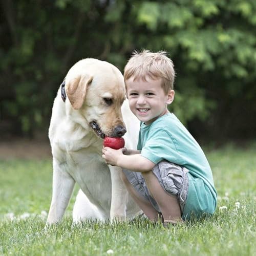 KONG Pet Toy in X-Large(2-Pack), Red