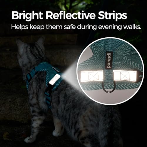 pangdi Pet Supplies in Small, Turquoise