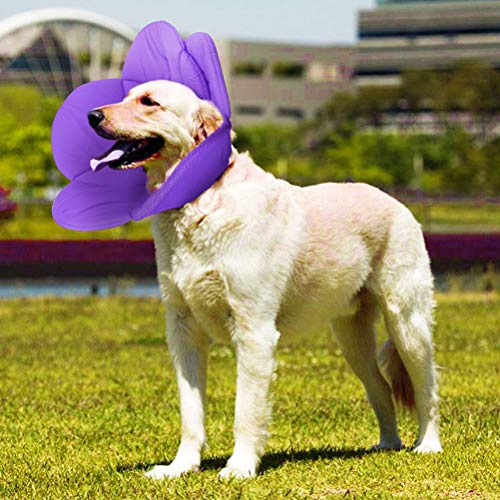 POPETPOP Animal Recovery Collar Cone in Purple