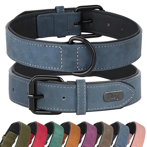 Didog Animal Collar in M: Fit Neck 11-14"(10-20 lbs), Blue