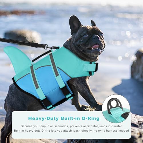 Doglay Pet Apparel in Small, Turquoise & Blue