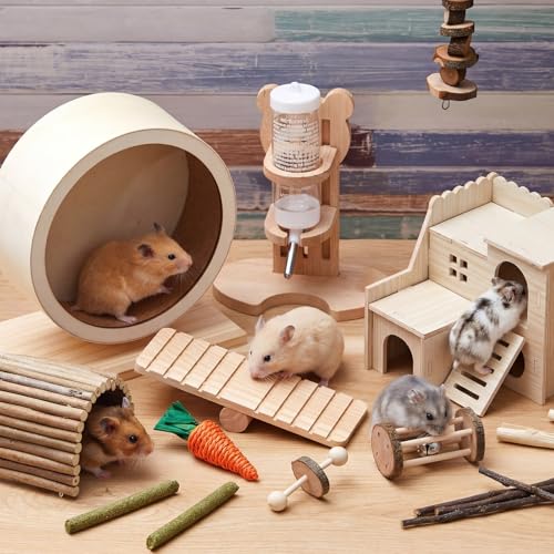 Sonwyoung Pet Activity Structure in natural