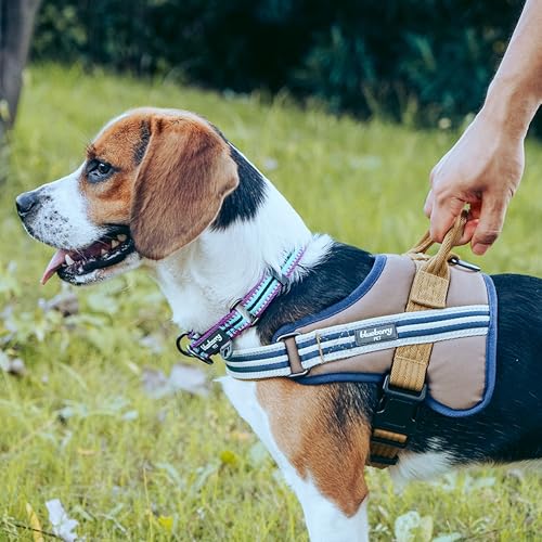 Blueberry Pet Animal Harness in Medium, Blue-gray and Olive