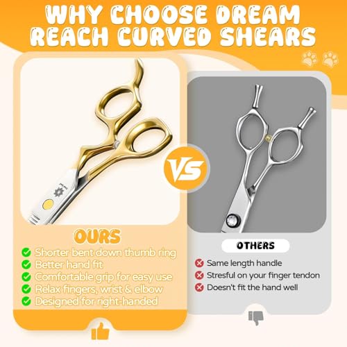 Dream Reach Scissors in 6.95 inch, Gold