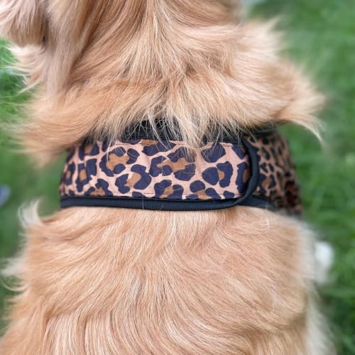 Harikaji Pet Supplies in L-Length 9'' Girth<8.2'', Brown Leopard (Pad Upgrade)