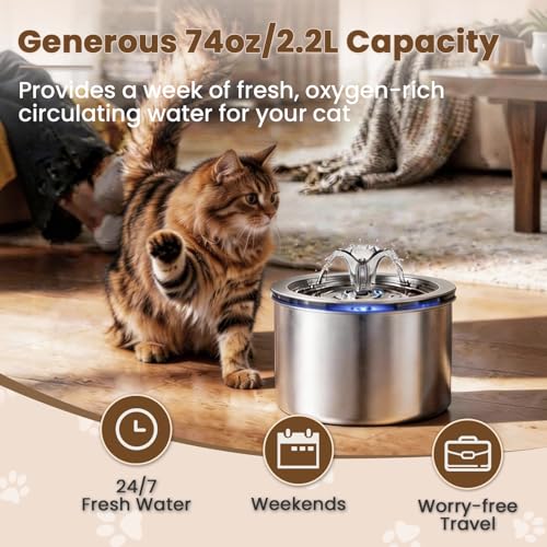 Zvaiv Animal Water Dispenser in Silver+ 3 Filters + 3 Pump Sponges