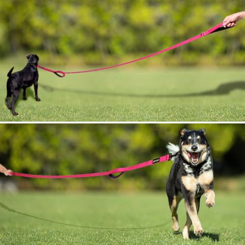PLUTUS PET Leash in 6 FT, Pink