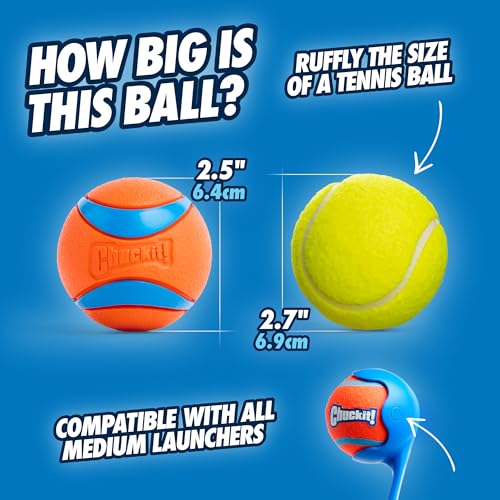 Chuckit! Pet Toy in Medium, Ultra
