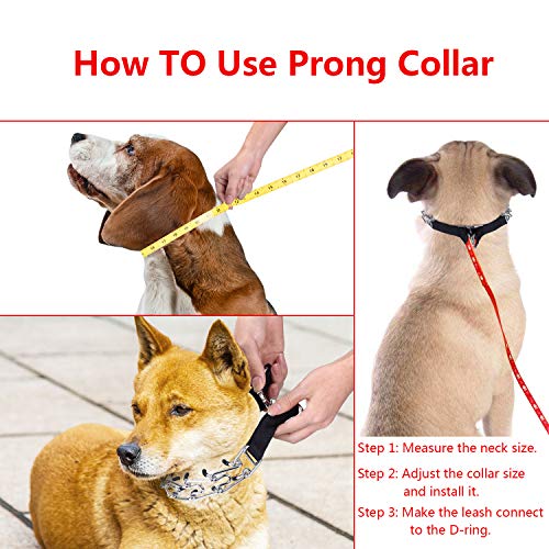 Aheasoun Animal Collar in Medium,3mm,19.6-In, with Buckle, Silver
