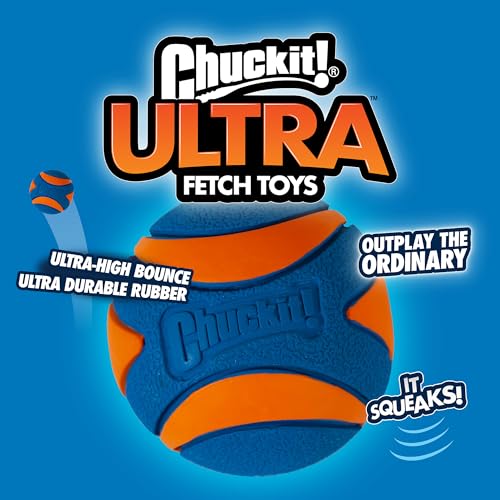Chuckit! Pet Toy in Medium, Multi