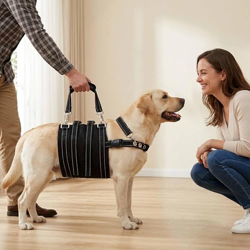 CWV Animal Harness in Large, Black