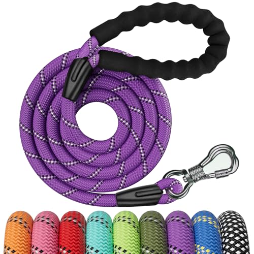 NTR Leash in 6ft*1/2", Purple