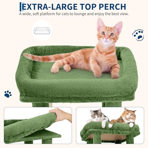 OUTLANE Pet Activity Structure in Green, Green