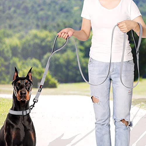 PLUTUS PET Leash in 4 FT, Gray