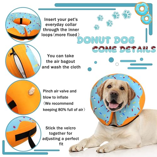 Cneo Animal Recovery Collar Cone in S（neck 4"-7"）, Blue