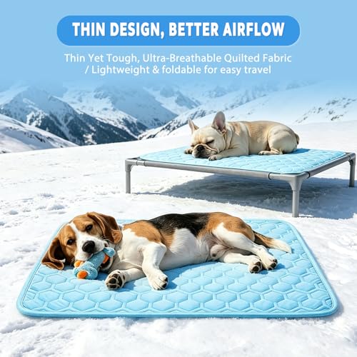 dgdgbaby Pet Bed Mat in Large, Blue