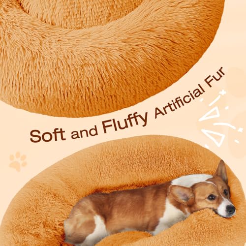 JOLLYVOGUE Pet Bed Mat in 20", Orange
