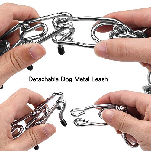 Aheasoun Animal Collar in Small, 2.5mm, 15.6-Inch, Silver