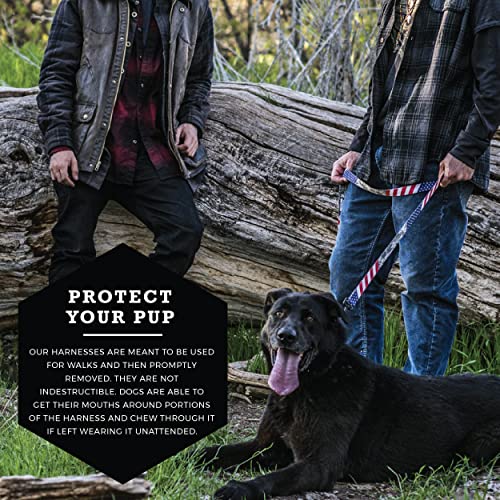 Wolfgang Man & Beast Animal Harness in Small (5/8 Inch x 12-18 Inch), Digital Dog Print