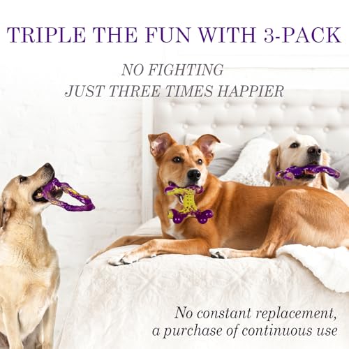Frienhund Pet Toy in 3 Pack, Purple