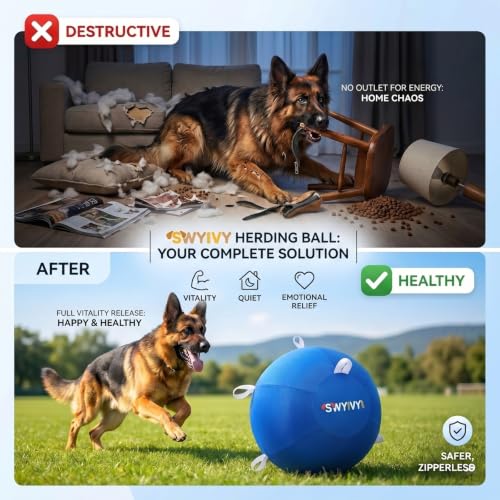 SWYIVY Recreation Ball in 25 Inch, Blue with Cover