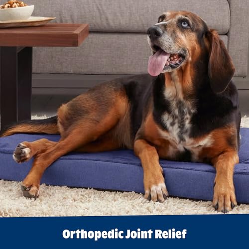 BarkBox Pet Bed Mat in Small, Navy