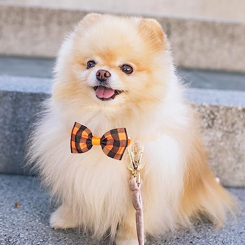 Segarty Pet Apparel in Large, 40pcs-plaid