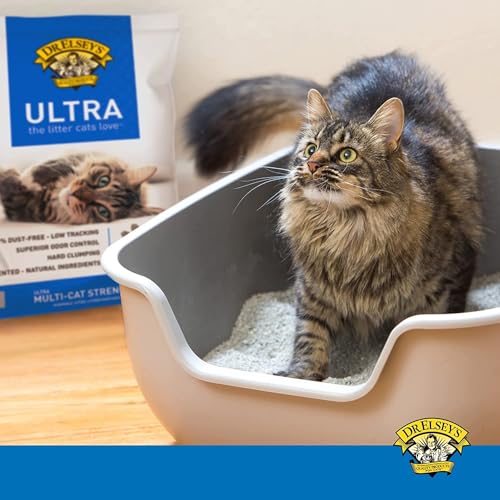 Dr. Elsey's Animal Litter in 40 lb, Original Version