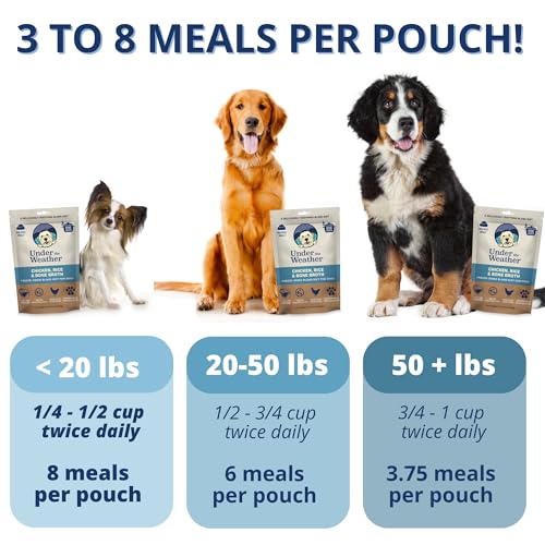 Under the Weather Pet Food in 6 Ounce (Pack of 1)