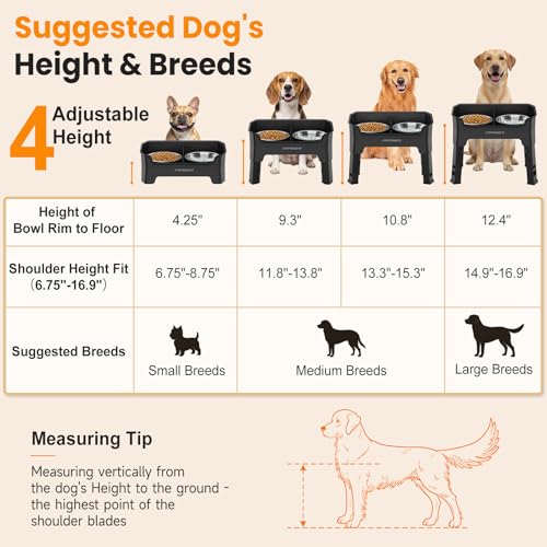 URPOWER Pet Feeder in Medium, Black