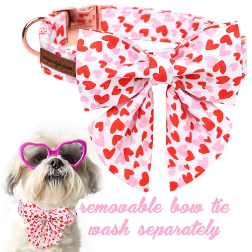 Unique style paws Animal Collar in S, heart-bowtie