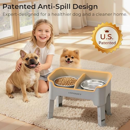 URPOWER Pet Feeder in Small, Light Grey