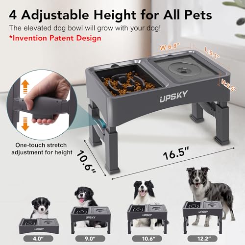 UPSKY Pet Feeder in A-Water Bowl+Slow Feeder (Grey)