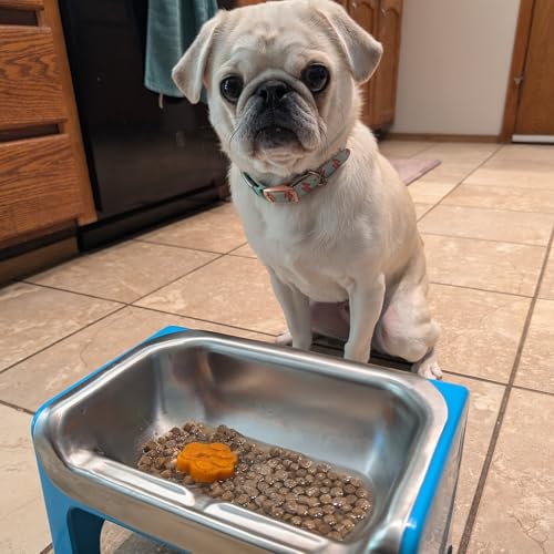 Fluff Trough Pet Feeder in Black