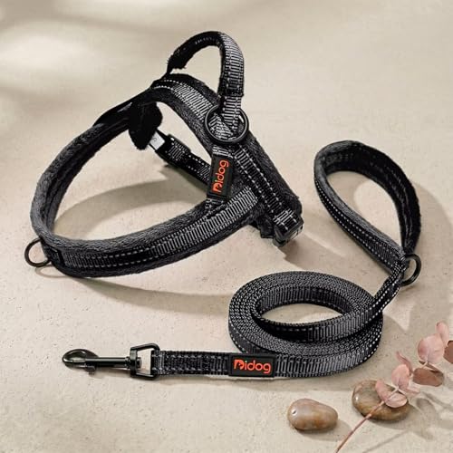 Didog Leash in 5/8''x 6 FT, Black