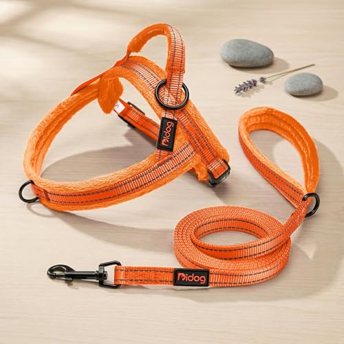 Didog Leash in 5/8''x 6 FT, Orange