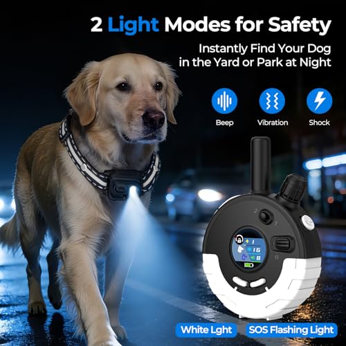 RPZ Animal Collar in 1 Receiver, White