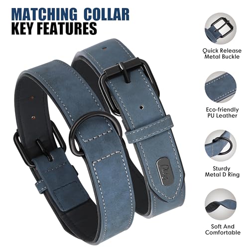 Didog Animal Collar in M: Fit Neck 11-14"(10-20 lbs), Blue Set