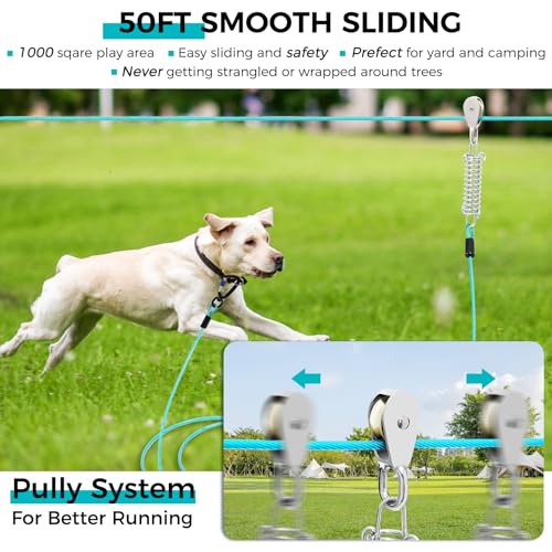 Snagle Paw Leash in 50ft run cable+10ft tie out cable, Teal for 250lbs dogs